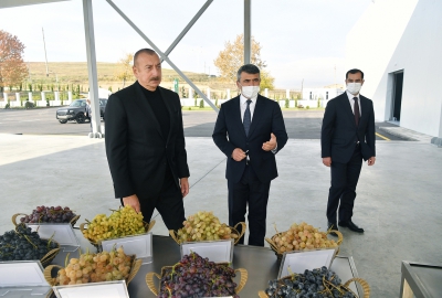 Ilham Aliyev and First Lady Mehriban Aliyeva attended the opening of the Shamakhi Grape Growing Center.
